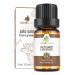 VINEVIDA Palo Santo Essential Oil 10 mL - Undiluted Palo Santo Oil 10 mL - Palo Santo Candle Oil Scent - DIY Candle Scents for Candlemaking - 10 mL Essential Oil for Soap Making Safe for Skin Palo Santo 0.33 Fl Oz (Pack ...