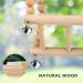 Buy 13-Part Natural Wood Parrot Toys - Bird Swing Climbing & Grinding Accessories for Budgies & Canaries - International Shipping Available - Buy Online on SooperMarket.com