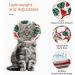 ComSaf Cat Recovery Collar - Lightweight & Adjustable Elizabeth Collar for Cats - Prevent Licking Wounds - Watermelon-M - Buy Online on SooperMarket.com