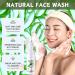 Trendyfave Aloe Vera Gel Foaming Cleanser Face Wash Natural Acne Face Wash Built-In Silicone Cleaning Brush For Acne Prone & Oily Skin Exfoliating Face Wash - Soothe Purify Facial Skin Care - Buy Online on SooperMarket.com