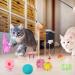 QUOZUO 50 Pcs Cat Toy Kitten Toys set Interactive cat Toy with Suction Cup Wand Hanging Door Flying cat Toys for Indoor Cats Cat Spring Toy Cat Toy Mouse cat ball toy Cat Crinkle Balls - Buy Online on SooperMarket.com