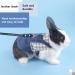 Adjustable Soft Rabbit Dishes & Leash Set - Perfect for Rabbits Cats and Guinea Pigs | Size M Blue - Buy Online on SooperMarket.com