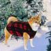 Rbenxia Buffalo Plaid Dog Sweaters 4-Pack | Soft Fleece Vest Pullover for Small Pets | Winter Outfits for Dogs and Cats - Buy Online on SooperMarket.com