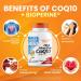Dr BEST's High Absorption CoQ10 with BioPerine Heart Health & Energy Production Naturally Fermented Vegetarian Gluten Free 200 mg 60 Veggie Softgels - Buy Online on SooperMarket.com