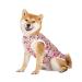 Pet clothing summer t-shirt cool breathable sun protection dog vest clothing outfit for medium-sized and large dogs (5xl rainbow)