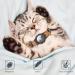Reflective Airtag Cat Neck Band - Jiarui GPS Collar for Cats & Puppies 9-13 inch - Adjustable with Bell - Orange - Buy Online on SooperMarket.com