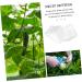 Mipcase 2pcs Square Apple Molds Fruit Vegetable Molds for Gardening Melon Stereotypes Plastic - Buy Online on SooperMarket.com