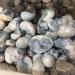 1PC Random Natural Raw Blue Celestite Quartz Crystal Cluster Stones Specimen Home Decoration Crafts Ornament Druzy Geode FZUGEDRLI (Size : 1pc Random 20 50g) - Buy Online on SooperMarket.com