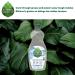 Seventh Generation Free & Clear Dish Liquid Soap 25 Oz - Pack of 6 - Buy Online on SooperMarket.com