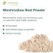 Mimea Marshmallow Root Powder | 1kg | Quality Ingredients | Herbal Remedy | Natural | No Additives | Tea Infusion 1 kg (Pack of 1) - Buy Online on SooperMarket.com