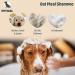 Petical Oatmeal Dog Shampoo - 100% Vegan pH-Neutral Aloe Vera & Vitamin E for All Fur Types | Anti-Itching & Odor Care - Buy Online on SooperMarket.com