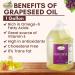 Tutto Bene Premium Grapeseed Oil - 1 Gallon (128oz) | 0 Trans Fat, Cholesterol-Free, High Antioxidants & Vitamin E - Ideal for Healthy Cooking - Buy Online on SooperMarket.com