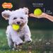 Laroo Dog Toys - Durable Natural Rubber Squeaker Football for Small & Large Dogs (6.5cm Green) - International Shipping Available - Buy Online on SooperMarket.com
