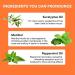 Nasal Stick Portable Menthol Inhaler Refreshing Brings Positiveness And Gratitude Let You Relax Every Day Relieve Stress Enhance Concentration Relieve Nasal Stuffing 1 - Buy Online on SooperMarket.com