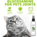 100ml Herbal Cat Joy Spray Herbal Cat Joy Celery Pets Catnip Spray for Cats Cat Scratching Spray Mist Cat Training Spray with Catnip Catnip Spray for Indoor Cats Cat Nips Spray for Cat Anxiety Relief - Buy Online on SooperMarket.com