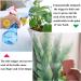 JANYUEPAI Hair Spray Bottle Continuous Fine Water Mist Sprayer for Hair Styling Skin Moisturizing Plant Watering Cleaning - Pink 200ml - Buy Online on SooperMarket.com