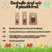 Organic Brown Millet 1.8 kg - Whole Grain Plastic-Free Eco-Friendly | s ssundclever.de - Premium Wild Millet from Germany - Buy Online on SooperMarket.com