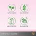 Goodbake Pink Food Coloring (11ml) - Intensive Highly Concentrated Vegan Color for Cakes Fondant Buttercream & More - Perfect for Baking & Drinks - Buy Online on SooperMarket.com