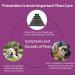 Fipronil Cat Flea & Tick Control - Long-Lasting Treatment for Kittens - 3 Doses - Buy Online on SooperMarket.com