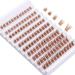 Buy Outopen Brown Lash Clusters 140Pcs - Natural D Curl Wispy Cat Eye Extensions for DIY Home Use - Buy Online on SooperMarket.com
