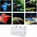 Large Fish Breeder Net with Suction Cups - Nylon Mesh Hatchery Isolation Box for Aquarium Tank - Buy Online on SooperMarket.com