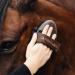 Animalon Careeflex Kard tsche | Ergonomic & Flexible Horse Brush with Velcro Fastener | Essential Cleaning Tool for Horse Care Accessories - Buy Online on SooperMarket.com