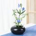 WANDIC Round Flower Frog & Ceramic Flower Pot Set - Shiny Black Pebble - Ikebana Floral Arrangement Supplies for Home and Office Decoration - Buy Online on SooperMarket.com
