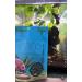 FISHIOS Flakies - Natural Community Fish Food with no preservatives. (28 Grams) 28 g (Pack of 1) - Buy Online on SooperMarket.com