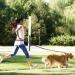 Achort Hands-Free Dog Leash & Waist Belt with Bungee - Reflective Adjustable for Dogs Up to 110 kg - Perfect for Running & Jogging (Red) - Buy Online on SooperMarket.com