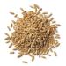 Organic Kamut Grain 1kg (BWFO)