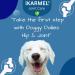 iKarmel Hip and Joint Care Supplements for Dogs - Glucosamine, Chondroitin, Green-Lipped Mussels - Senior to Puppy Treats for Stiff Joints (180 Chews) - Buy Online on SooperMarket.com