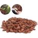 Buy Bark Litter for Reptiles - Natural Wood Granules Substrate for Turtles Lizards & Snakes | Eco-Friendly Breeding Box - Buy Online on SooperMarket.com