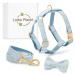 Laika Planet - dog harness for small dogs with 1.50 m leash and versatile loop made of velvet - H -dishes for small dogs maximum safety and comfort - Premium (S blue) S blue