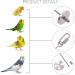 QBLEEV Stainless Steel Bird Food Holder - Parrot Fruit & Vegetable Stick Foraging Toy & Treat Skewer - Buy Online on SooperMarket.com