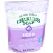 Charlie's Soap Booster & Hard Water Treatment (2.64 Lbs 2 Pack) - Natural Laundry Softener & Booster - Buy Online on SooperMarket.com