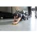 Slidez Dual-Sided Exercise Glider Discs for Core Stability - Standard Use - Buy Online on SooperMarket.com