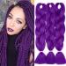 Tess Braids Extensions 60 cm 3 pack jumbo braids Kanecalon Kunsthaar for the single-laid box braids hair extension braid 100g/bundle of hair braids extension (3 piece purple) 60 cm (3 pieces) purple
