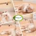 AGYM Cat Silvervine Stick Toy Set - Natural Chew Toys for Cats | Promotes Dental Health, Relaxation, and Digestion | Non-Addictive and Safe | 4 Pack - Buy Online on SooperMarket.com