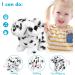 WorWoder Interactive Plush Teddy Toy Puppy - Electronic Walking Barking Dalmatian Dog for Kids - Buy Online on SooperMarket.com