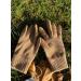 Organic Cotton Gloves best for Eczema Psoriasis Fibromyalgia (Large to Extra Large) - Buy Online on SooperMarket.com
