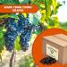 Jumbo Flame Raisins 10 lbs. (160 oz.) USA | Boron Rich | Vegan | No Added Sugar | Energy Boost Snack | Seedless | Presto Sales LLC - Buy Online on SooperMarket.com