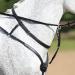 Buy Passier Ingrid Klimke Breastplate - Black with Stainless Steel Fittings | One Size Full - International Shipping Available - Buy Online on SooperMarket.com