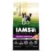 IAMS Advanced Health Dog Food Dry Healthy Digestion Adult Chicken & Whole Grain Recipe 2.72kg (6LB) Bag 2.72 kg (Pack of 1) Dog Food