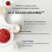 Hanyul Red Rice Moisture Firming Emulsion | Vegan Korean Lotion for Deep Hydration & Firming | Dermatologist-Tested | 4.23 fl. oz - Buy Online on SooperMarket.com