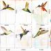 24 Pieces Hummingbird Cupcake Topper Hummingbird Cake Bird Decoration Cupcake Picks Toothpicks with Hummingbird Shape Hummingbird Cake Bird Decoration for Birthday Christmas Party Cake Decoration - Buy Online on SooperMarket.com