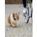 Trixie 1287 Dogs Biker Set - Size S-M | High-Quality Pet Apparel for Style & Comfort - International Shipping Available - Buy Online on SooperMarket.com