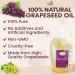 Tutto Bene Premium Grapeseed Oil - 1 Gallon (128oz) | 0 Trans Fat, Cholesterol-Free, High Antioxidants & Vitamin E - Ideal for Healthy Cooking - Buy Online on SooperMarket.com