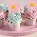Rsstarxi 24 Pack Daisy Cupcake Toppers Baby Shower Birthday Chrysanthemum Party Cupcake Picks for Daisy Flower Theme Spring Birthday Wedding Party Cake Decorations Pink Design 1 Pink - Buy Online on SooperMarket.com