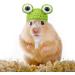 Xuniea Mini Hand Knitted Hat - Pet Costume Accessories for Small Animals - Buy Online on SooperMarket.com