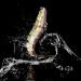 3-Piece Wobbler Hecht Kader Set | Realistic Swimbait for Predatory Fish | 13.5cm 27g | International Shipping Available - Buy Online on SooperMarket.com